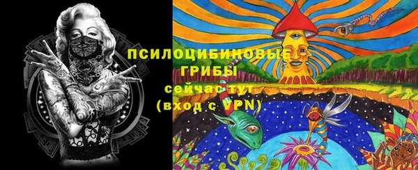 ГАЛЛЮЦИНОГЕННЫЕ ГРИБЫ Алексеевка