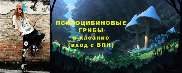 ГАЛЛЮЦИНОГЕННЫЕ ГРИБЫ Алексеевка