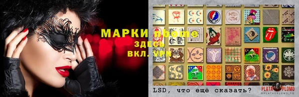 ГАЛЛЮЦИНОГЕННЫЕ ГРИБЫ Алексеевка