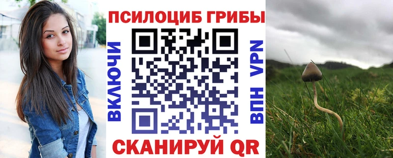даркнет сайт  маркетплейс Telegram  Псилоцибиновые грибы Psilocybine cubensis  Лахденпохья 