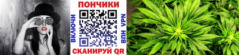 где найти Лахденпохья Каннабис марихуана